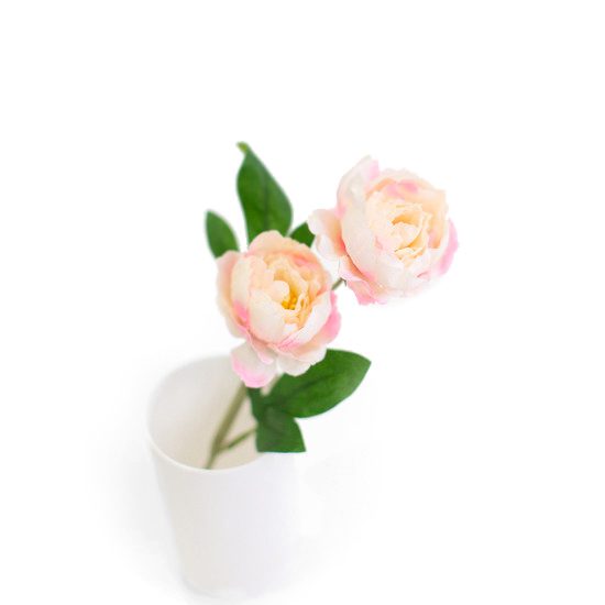 Arranjo floral dupla Peônia Rosa