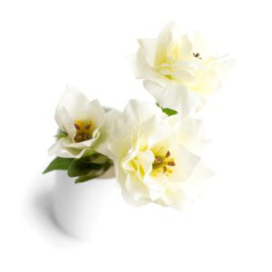Arranjo floral trio Camélia Branco