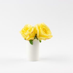 Dupla de flores - amarela